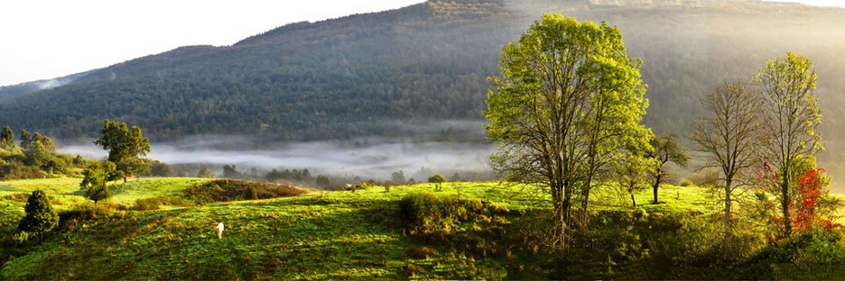 Get Zu erleben Free Zu Erleben