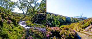 Landschaftsbild Schottland