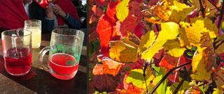 Herbstlandschaft Südsteiermark