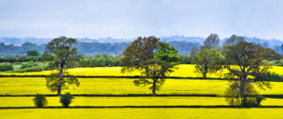 Panoramabild Südengland