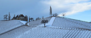 Winterlandschaft Sütsteiermark