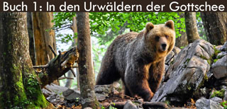 Jagdbuch, Bildband und  Naturbeobachtung über das Gebiet der Gottschee, heutiges Kocevje mit ihren Urwäldern
